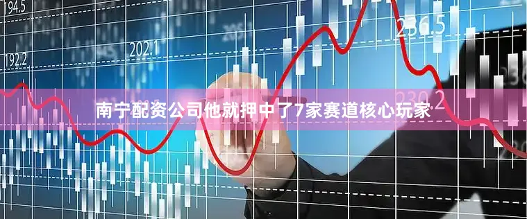 南宁配资公司他就押中了7家赛道核心玩家